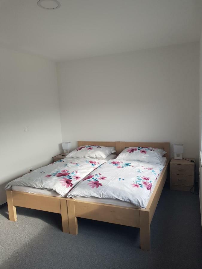 Apartmaji Jankovic Logatec Zewnętrze zdjęcie
